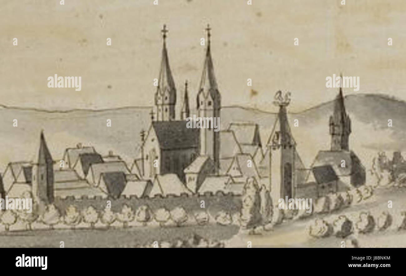 The St. Gallus Church in Ladenburg is a notable landmark with a rich ...