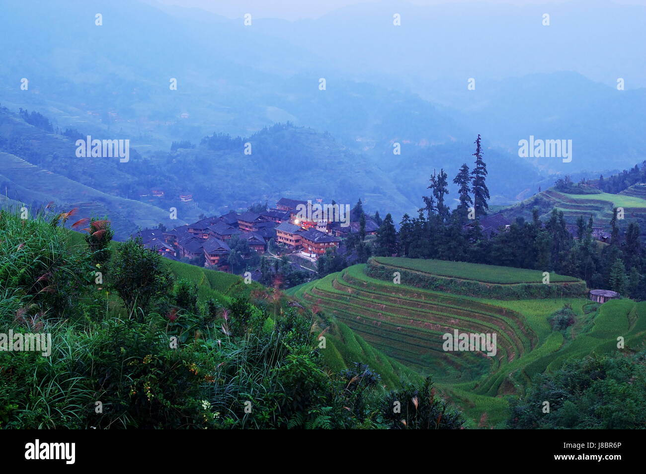 house, building, agricultural, tree, asia, agriculture, farming, field ...