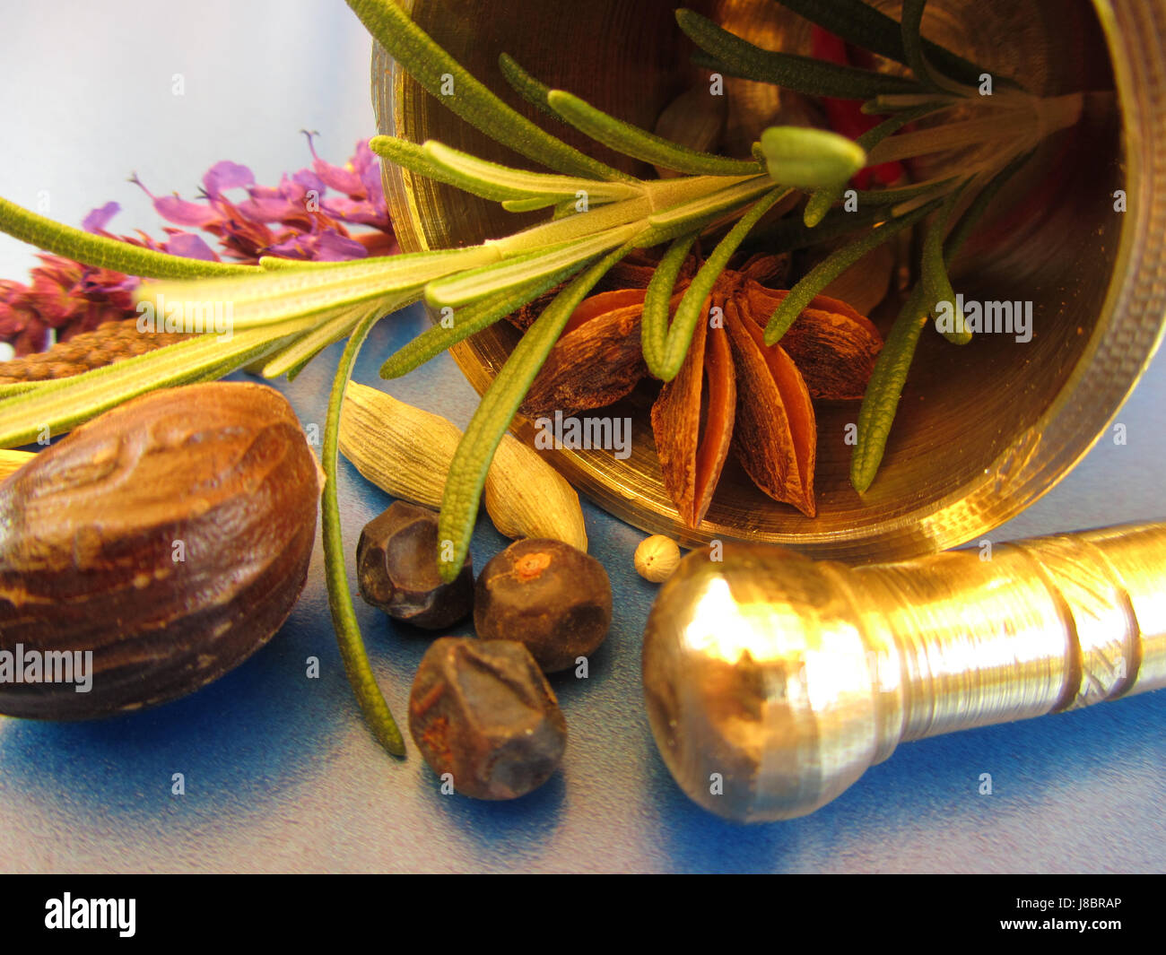 sage, rosemary, pestle, nutmeg, chilli, chili, anise, food, aliment
