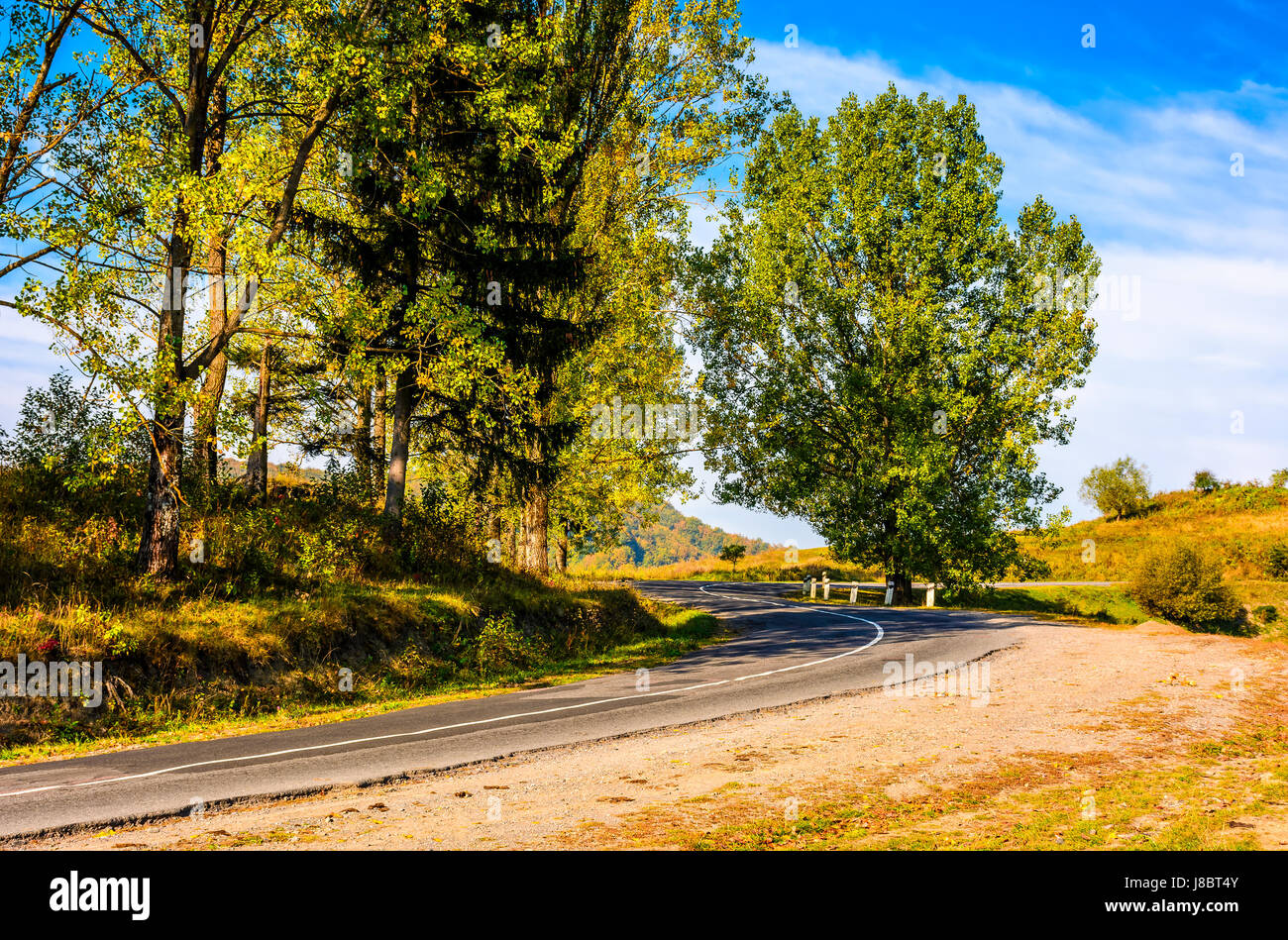 trees on tricky serpentine in mountains. landscape in early autumn sunrise Stock Photo