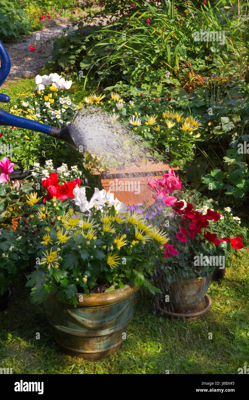 garden, flower, plant, work, factory, decoration, gardening, flowerpots