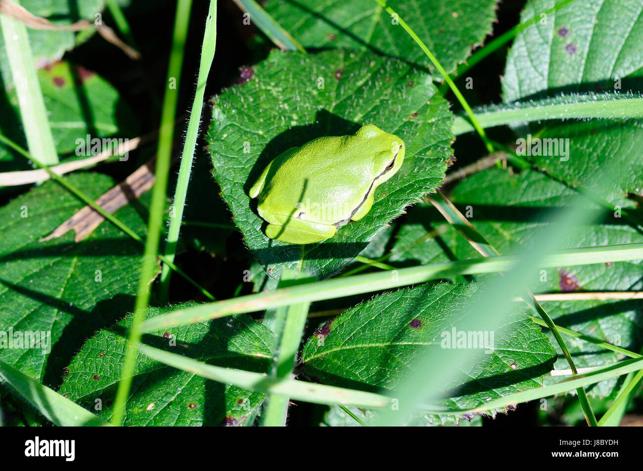 Grnrock hi-res stock photography and images - Alamy