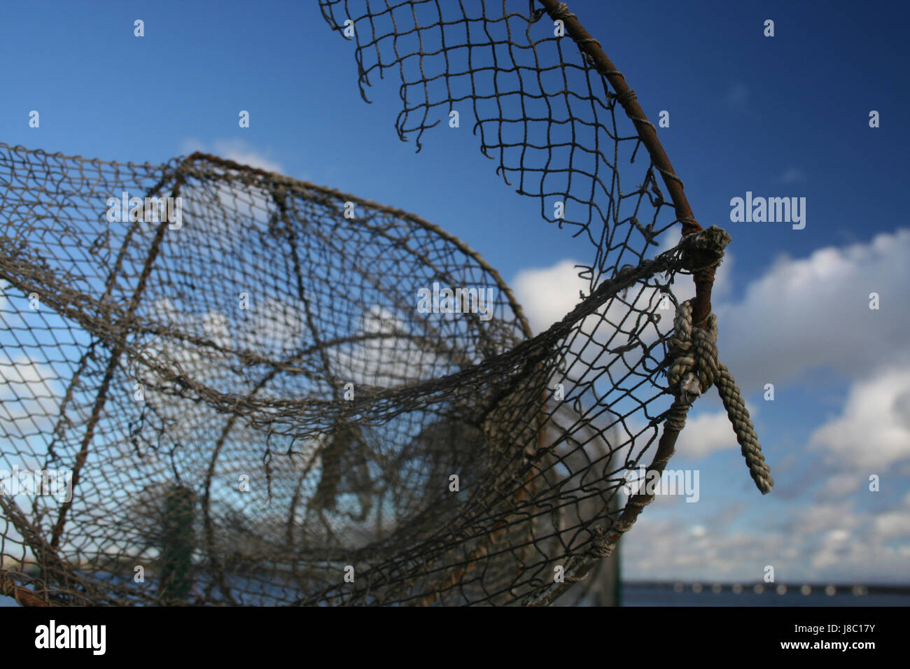 angle, fish, net, fishing, holes, punch, meshes, lobster pot, blue