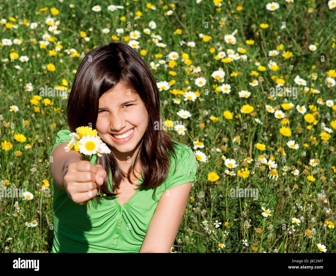 flower, plant, field, flowers, kid, delighted, unambitious
