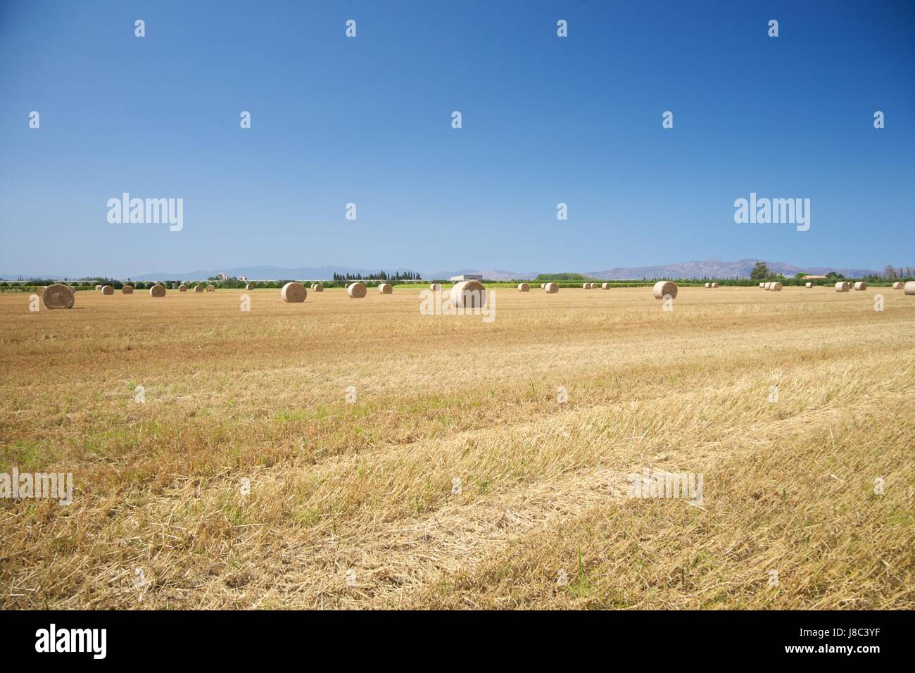 Straw bale catalonia spain hi-res stock photography and images - Alamy