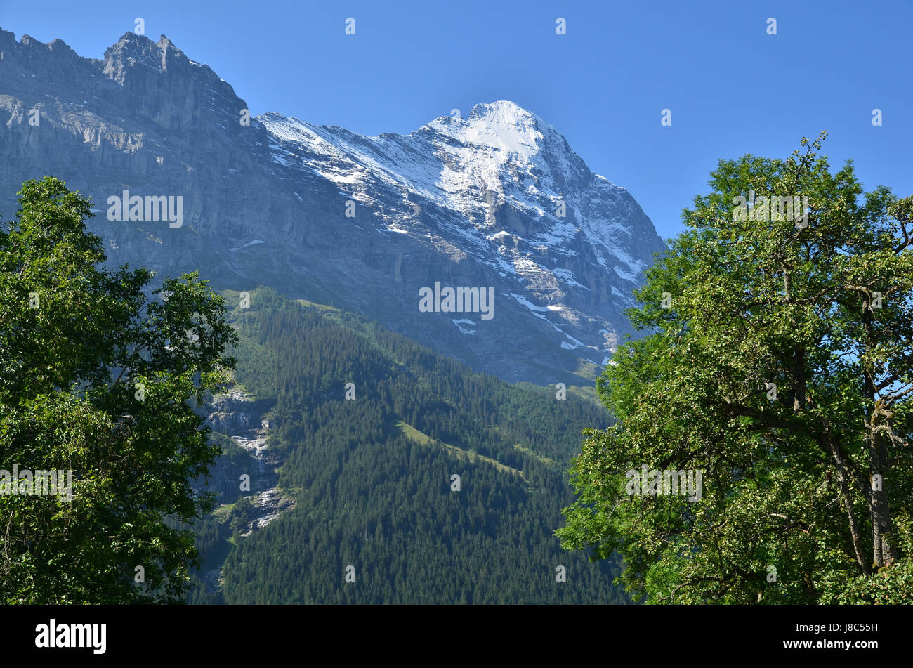 mountains, alps, switzerland, glacier, emblem, big, large, enormous, extreme, Stock Photo