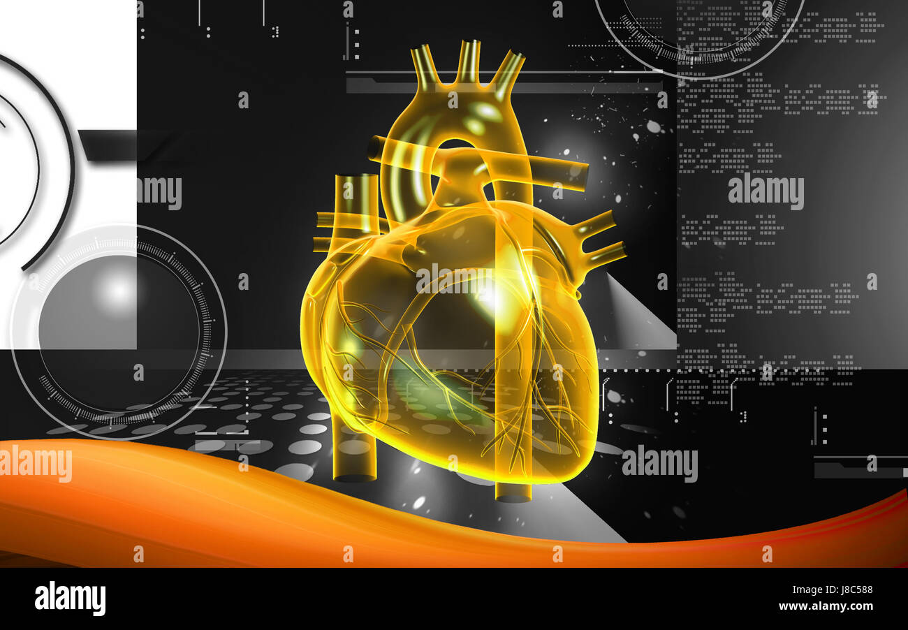 Circulation Graphics education, medicinally, medical, circulation, graphics, colour, science ...