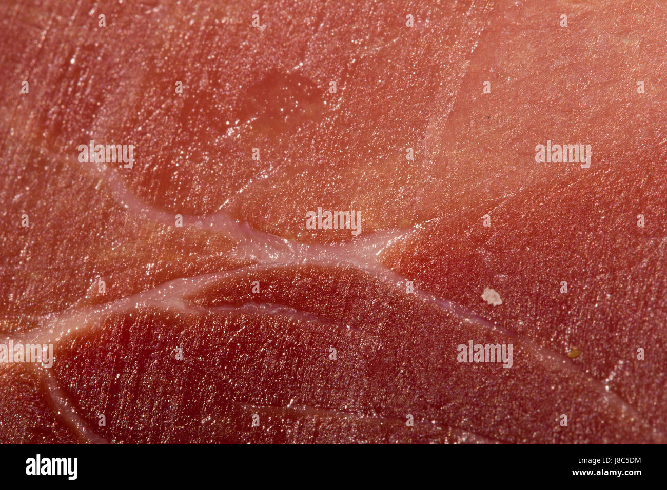 fibres, fibers, bacon, thick, wide, fat, red, meat, kitchen, cuisine