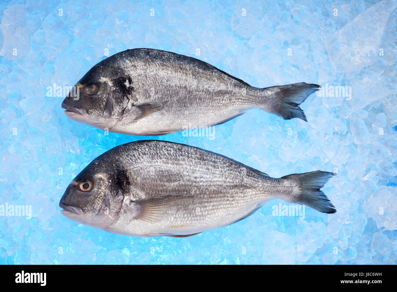 fish, grill, barbecue, barbeque, ice cube, bream, fresh, food, aliment, Stock Photo