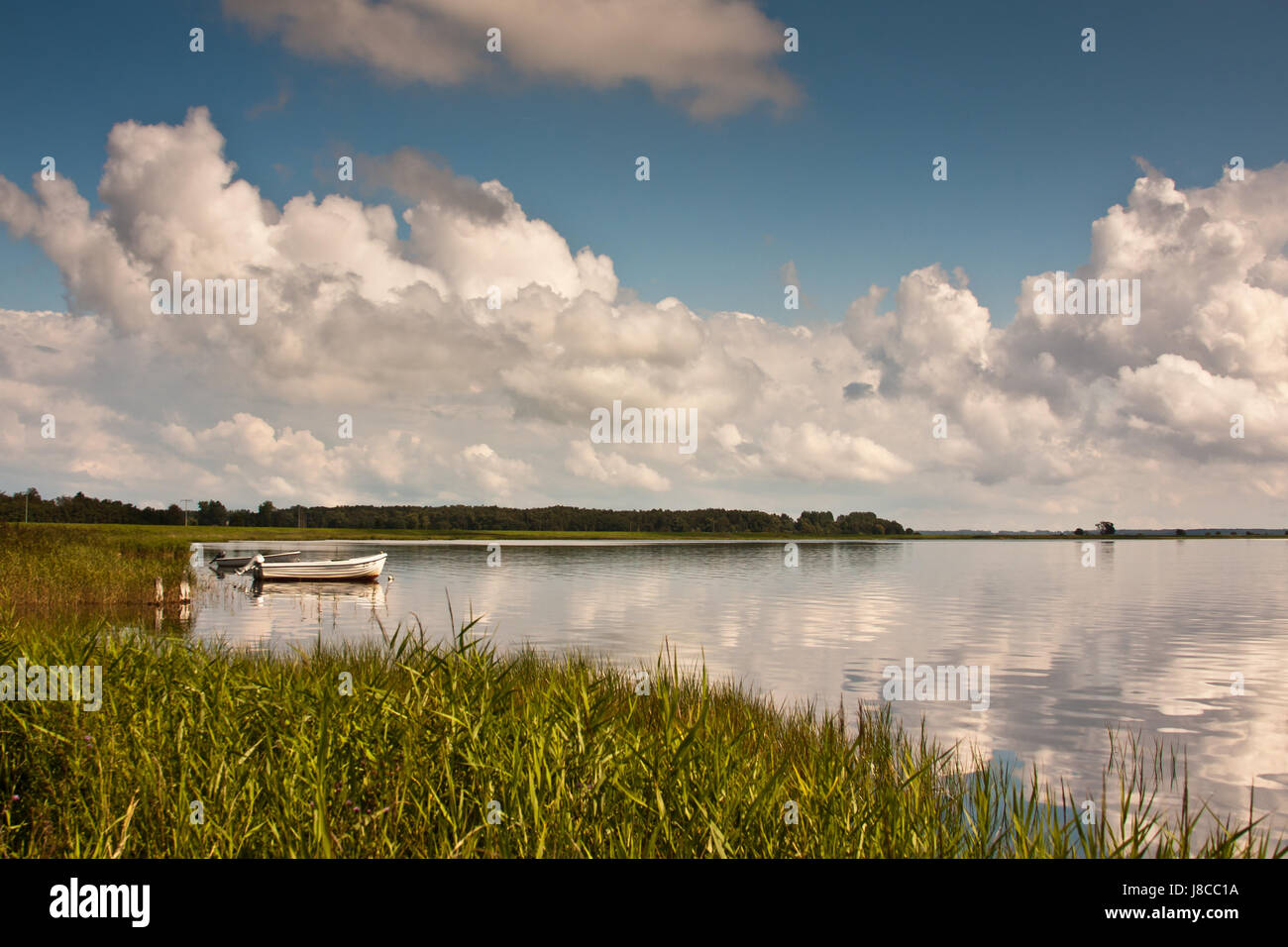 blue, mirroring, clouded sky, reed, rowing boat, sailing boat, sailboat, boat, Stock Photo