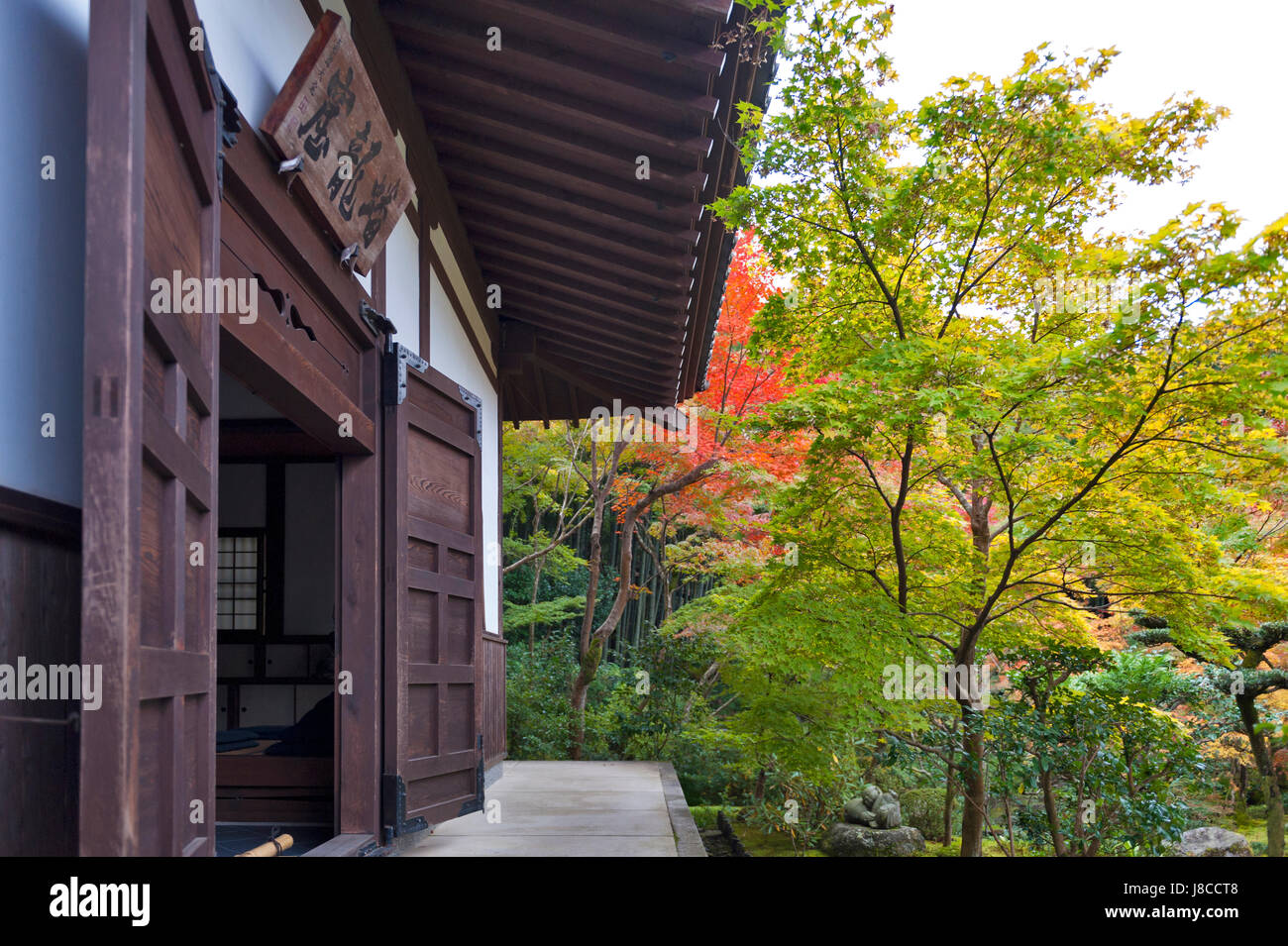 Kyoto, Japan - November 2016: Japanese red maple tree during autumn in ...