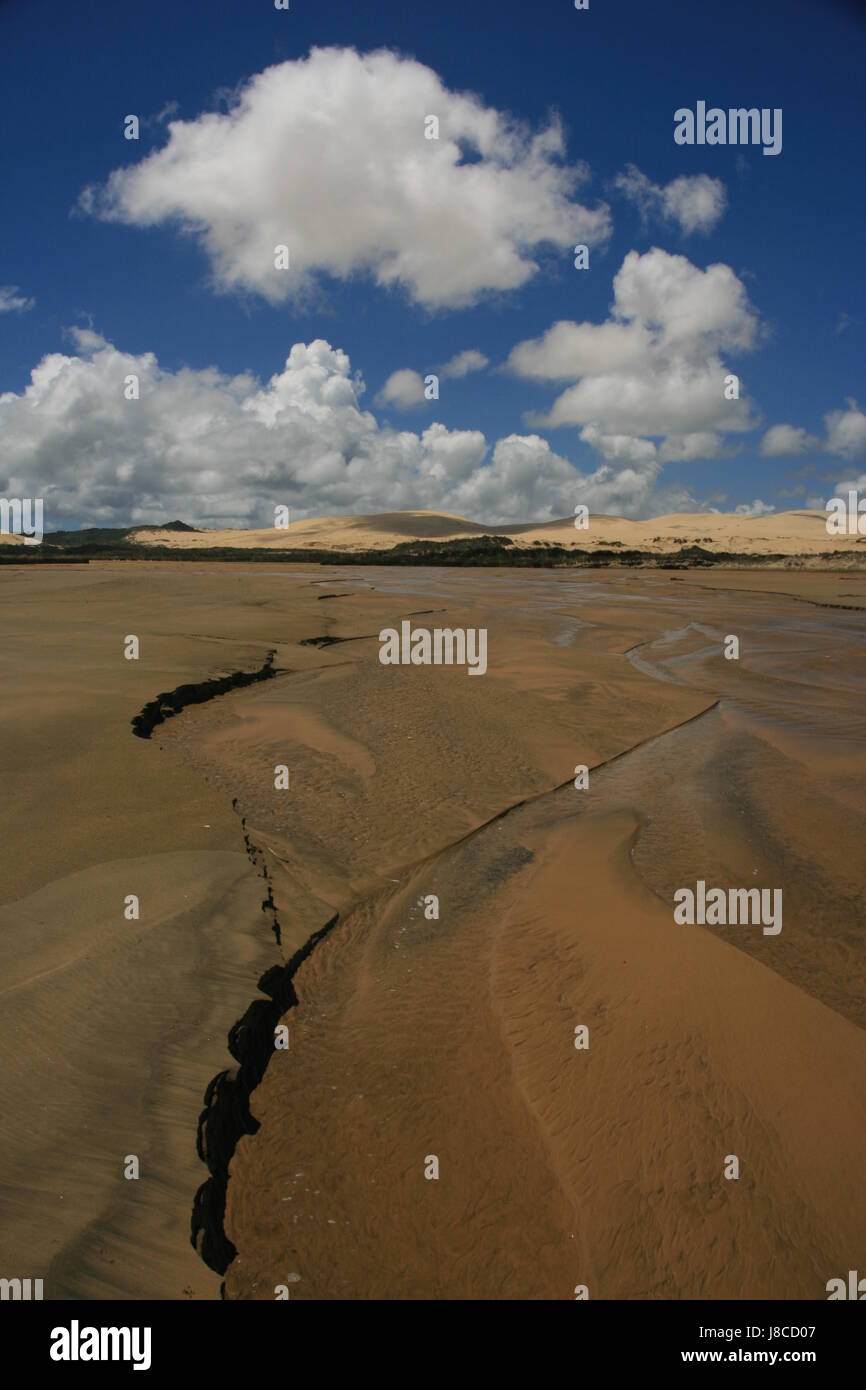 hill, cloud, new zealand, dune, sands, sand, hill, green, cloud, beach, Stock Photo