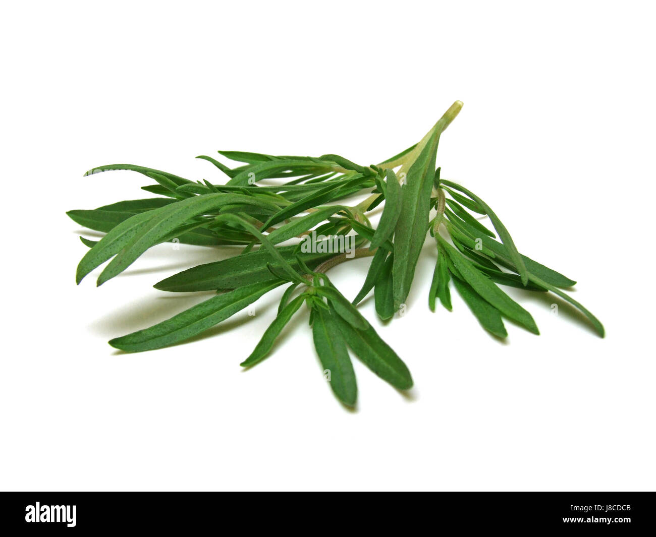 food, aliment, boil, cooks, boiling, cooking, ingredients, spices, savory, Stock Photo
