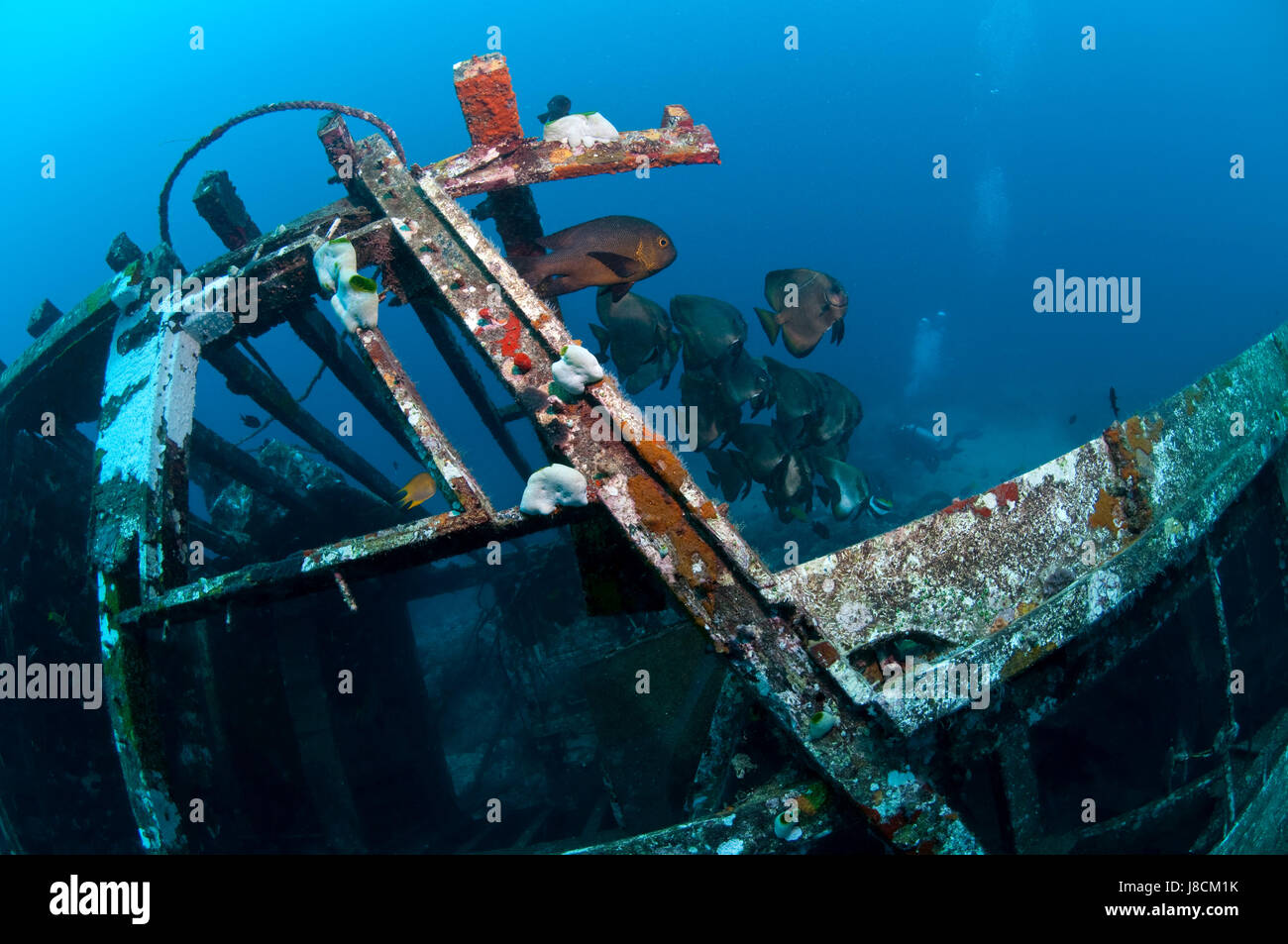 fishing boat, dive, pisces, sunk, diver, rowing boat, sailing boat, sailboat, Stock Photo