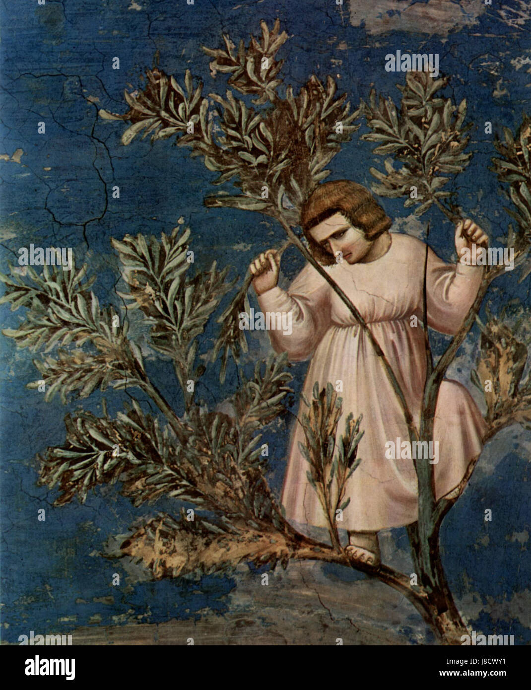 Giotto di Bondone was an Italian painter and architect from the 13th ...