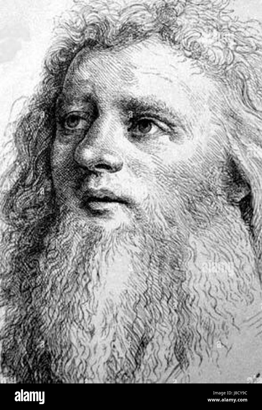 Holbein d AE Stock Photo Alamy