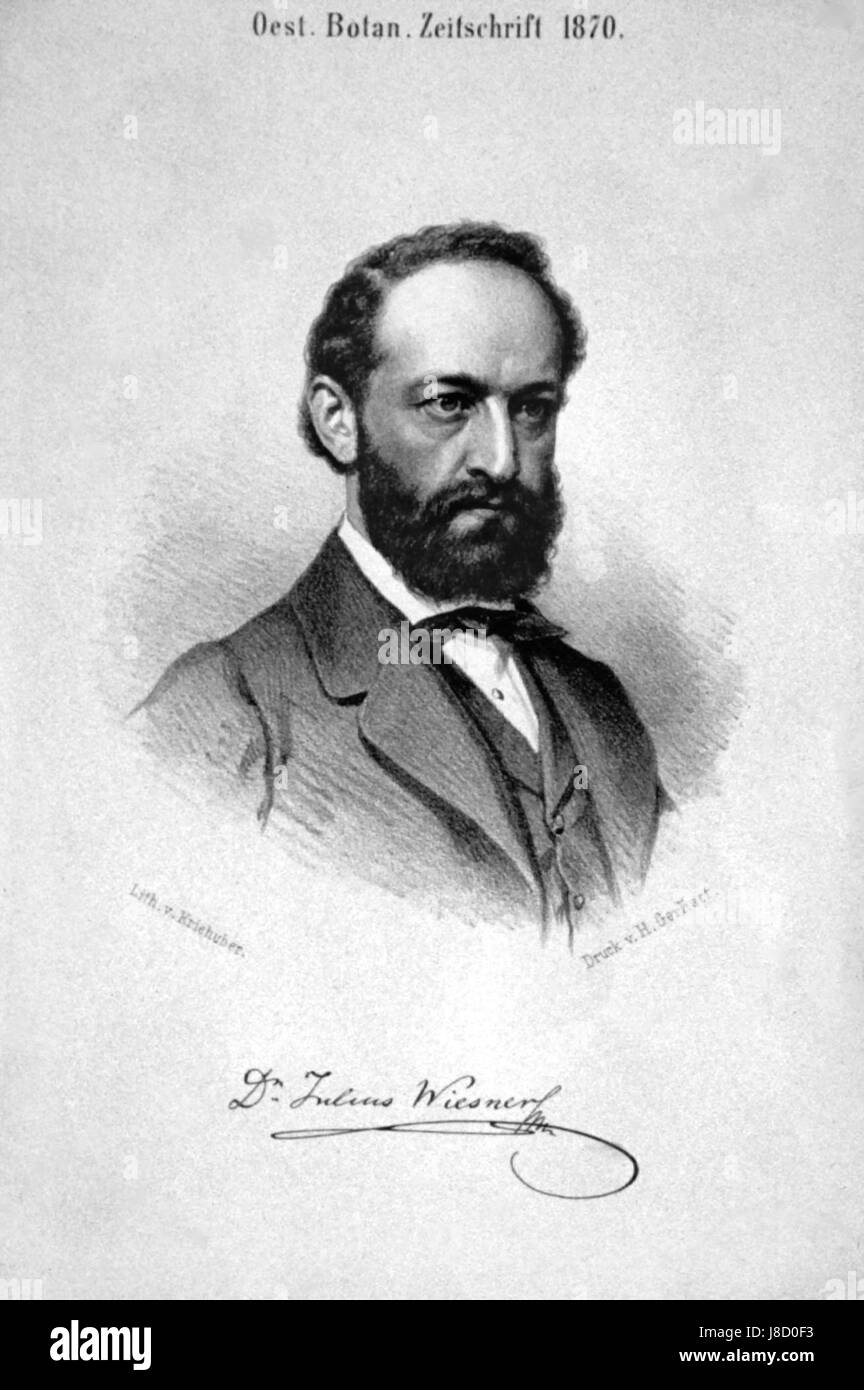 Wiesner hi-res stock photography and images - Alamy