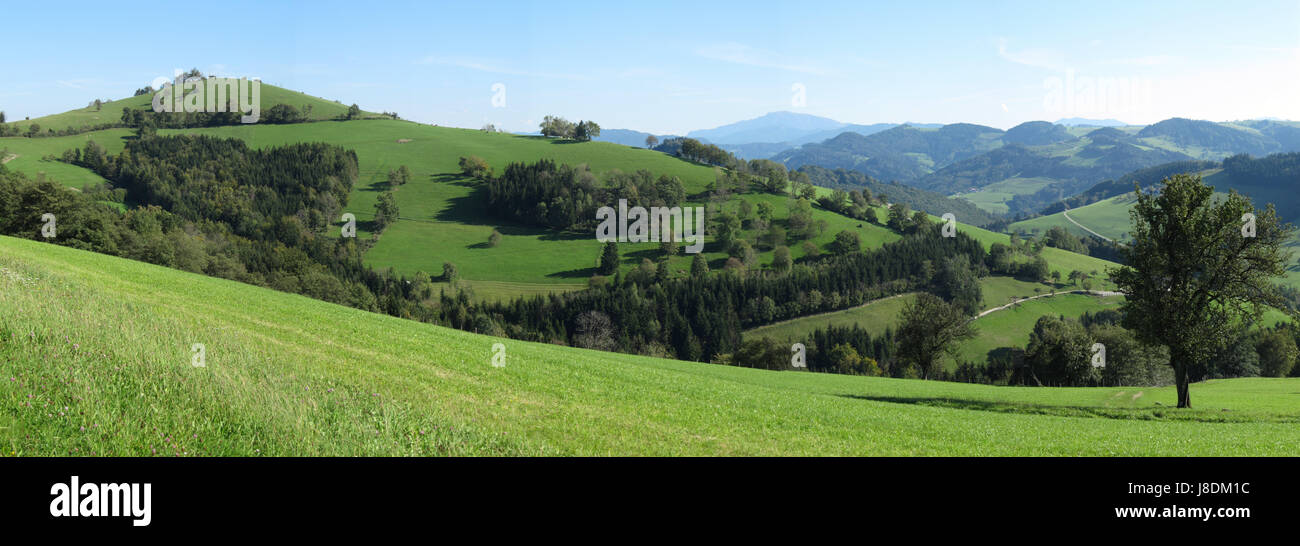 mountains, alps, alp, meadows, forest, blue, spare time, free time, leisure, Stock Photo