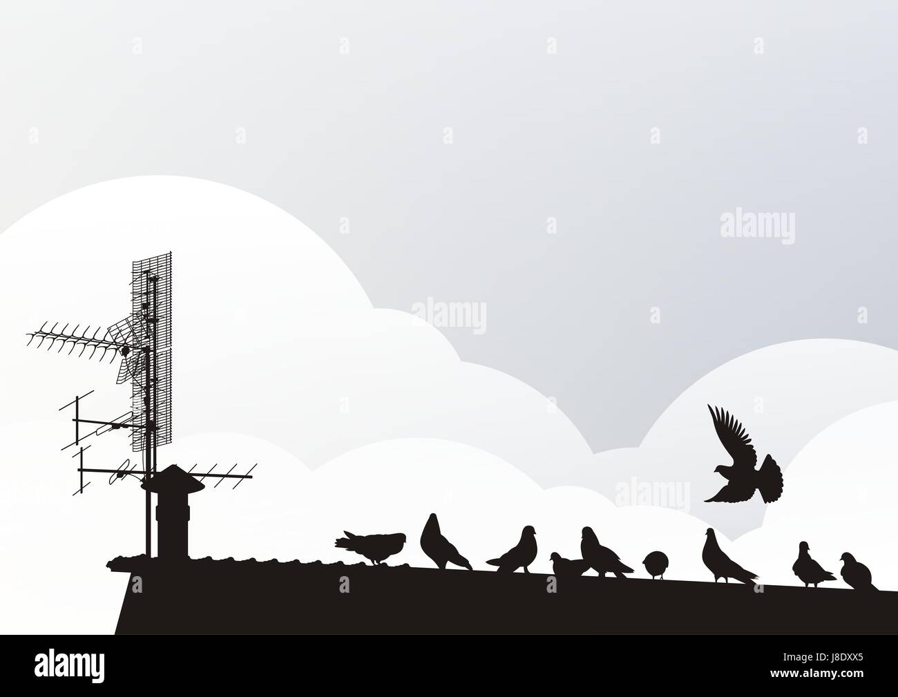 bird, antenna, silhouette, pigeon, urban, clouds, sign, signal, bird