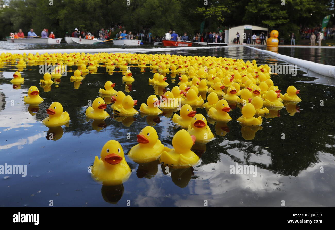 charity rubber ducks