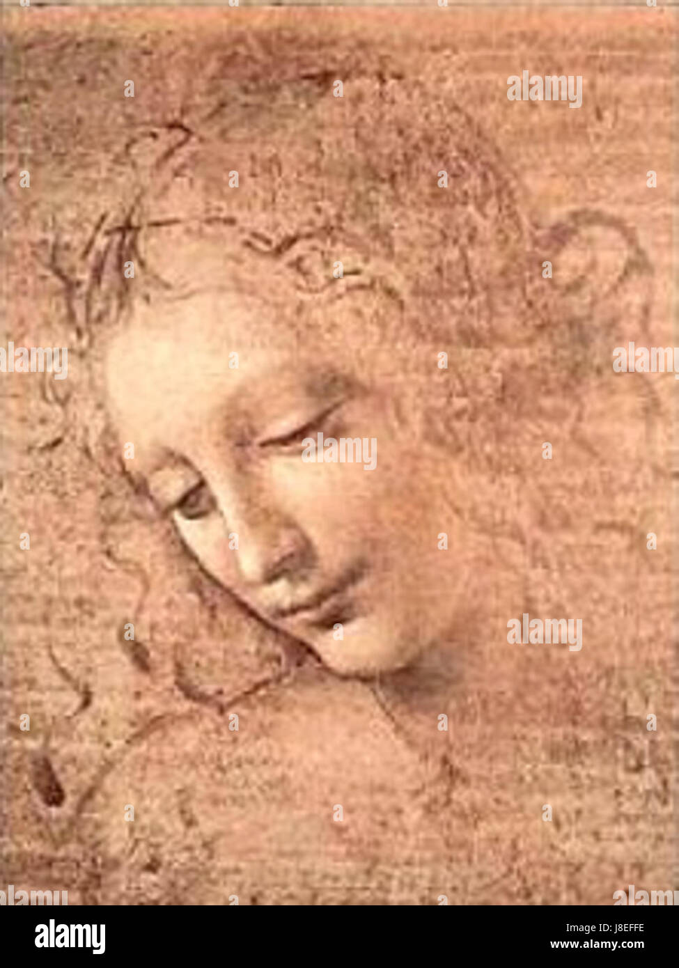 la-scapigliata-leonardo-da-vinci-hi-res-stock-photography-and-images