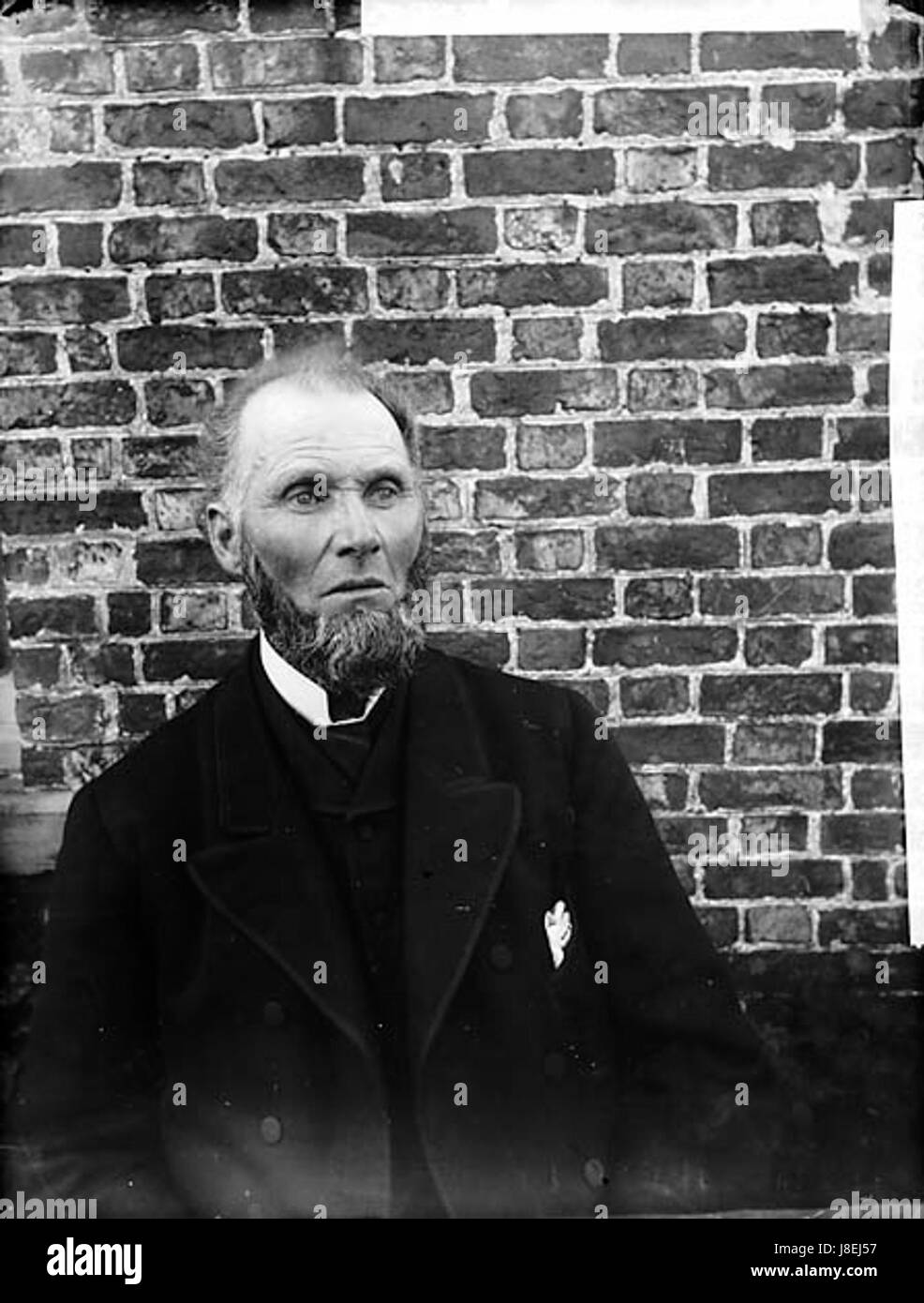 Mr Jones NLW3362560 Stock Photo Alamy