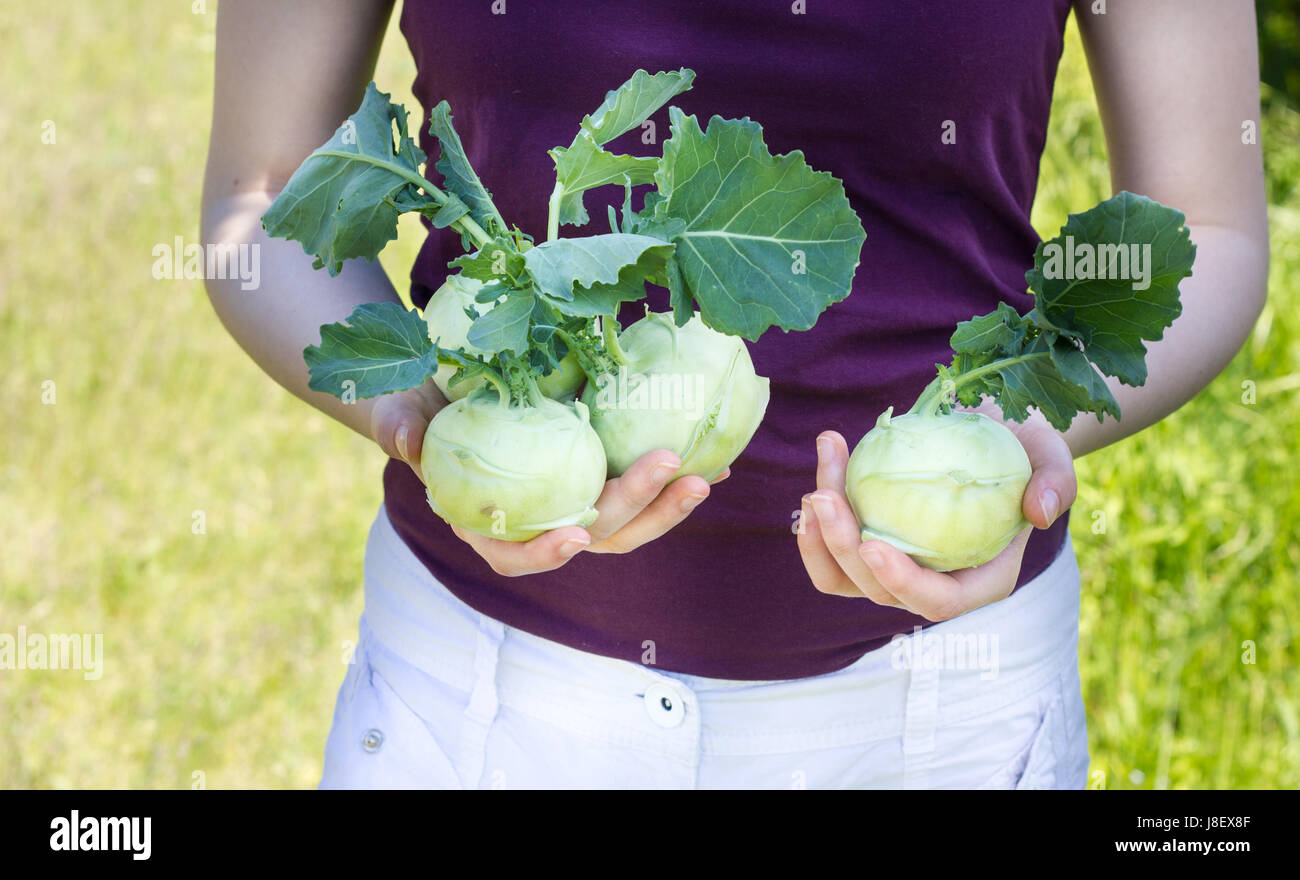 A girl holds tender, fresh Turnip in her hand Stock Photo Alamy