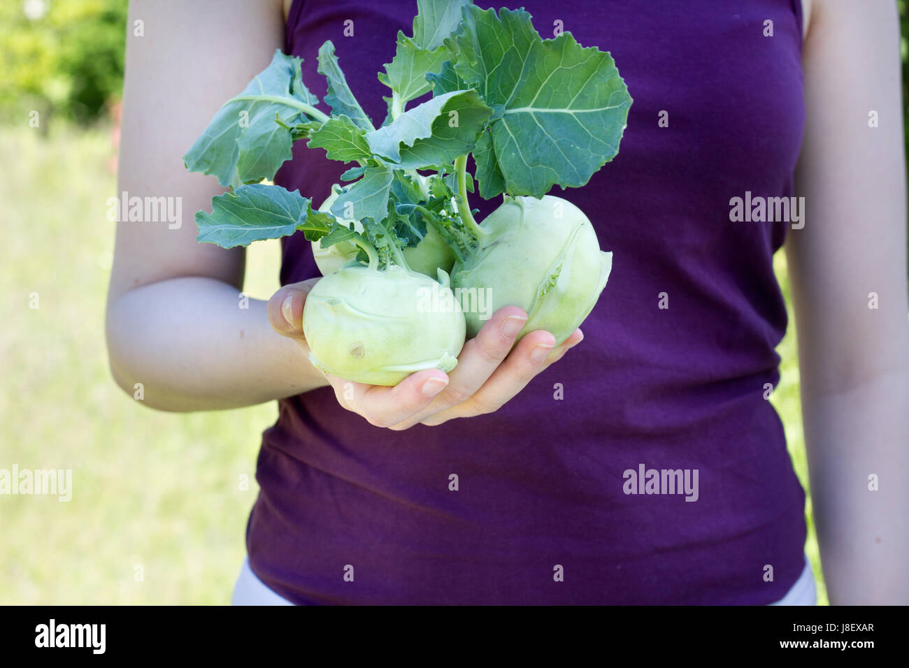 A girl holds tender, fresh Turnip in her hand Stock Photo Alamy