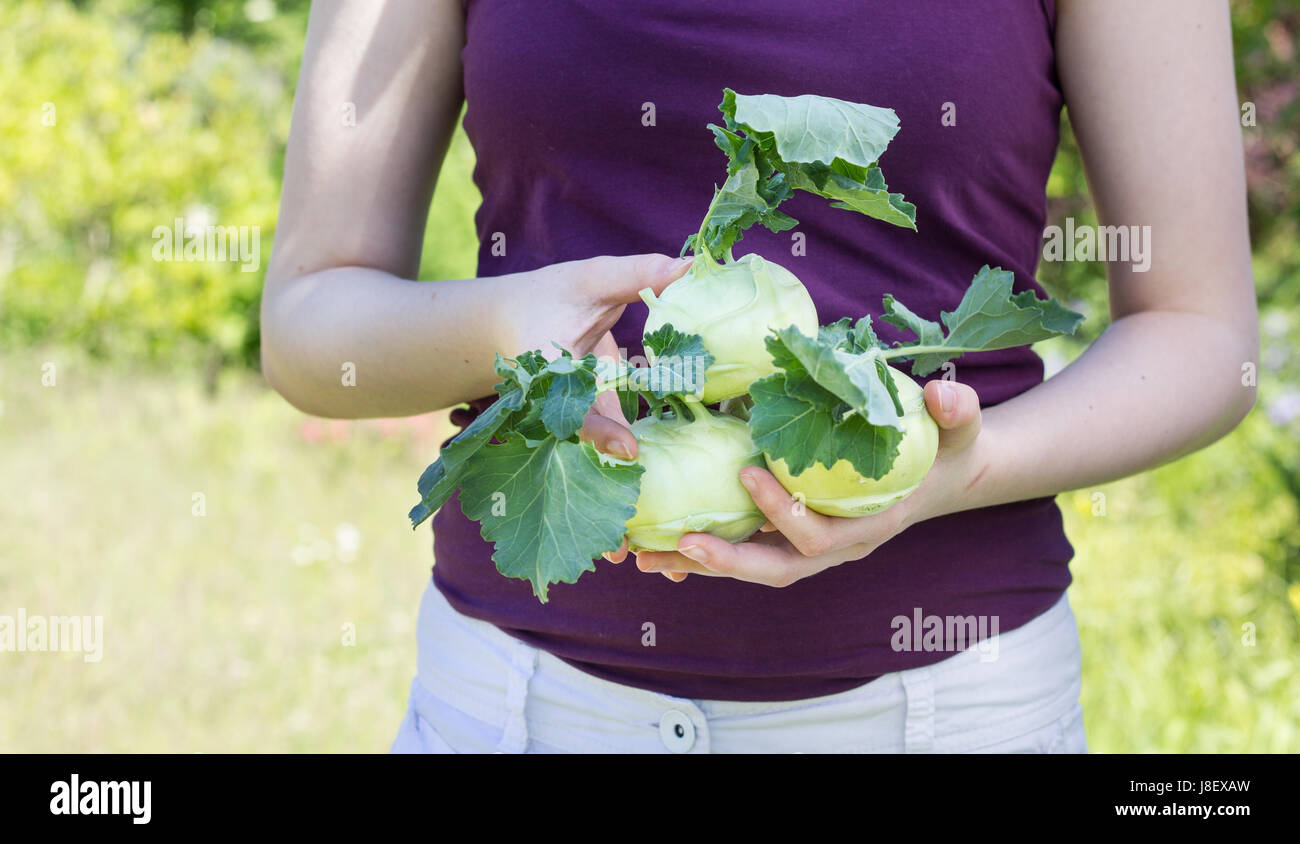 A girl holds tender, fresh Turnip in her hand Stock Photo Alamy