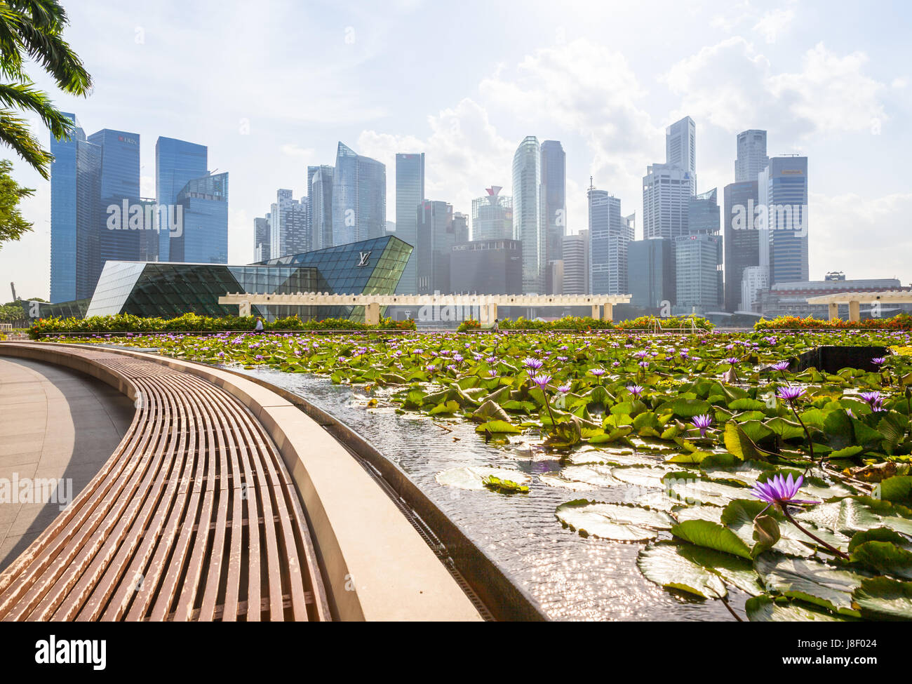 Singapore, Singapore - February 17, 2016: Daytime view of the Singapore CBD skyskrapers with beautiful lilly pond on the foreground. Stock Photo