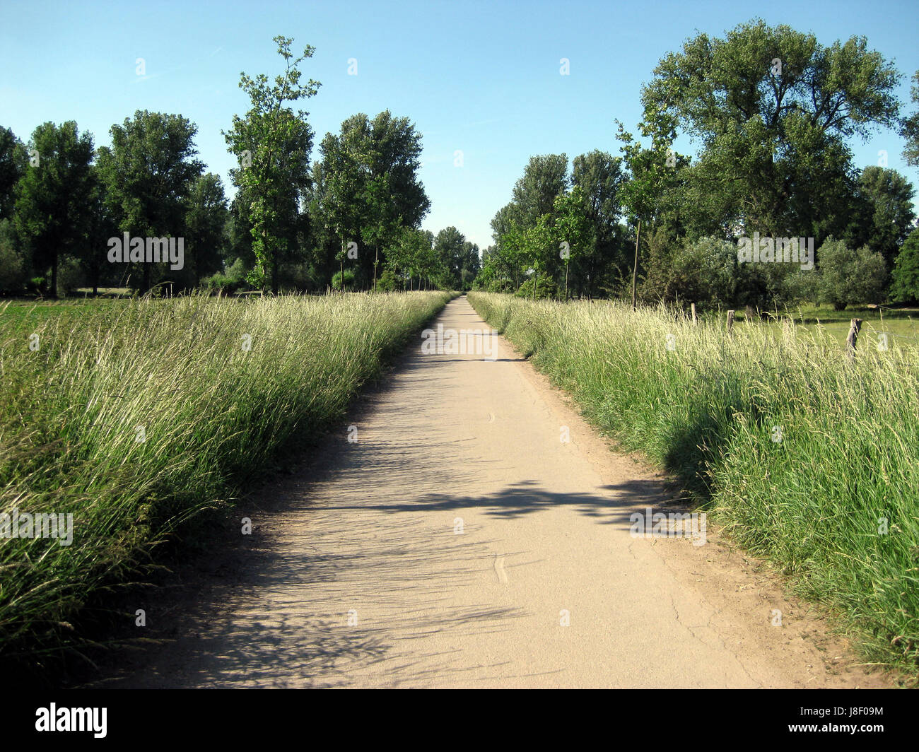 Field Path Rambles dirt road, field, hike, go hiking, ramble, rambler, path, way, scenery ...