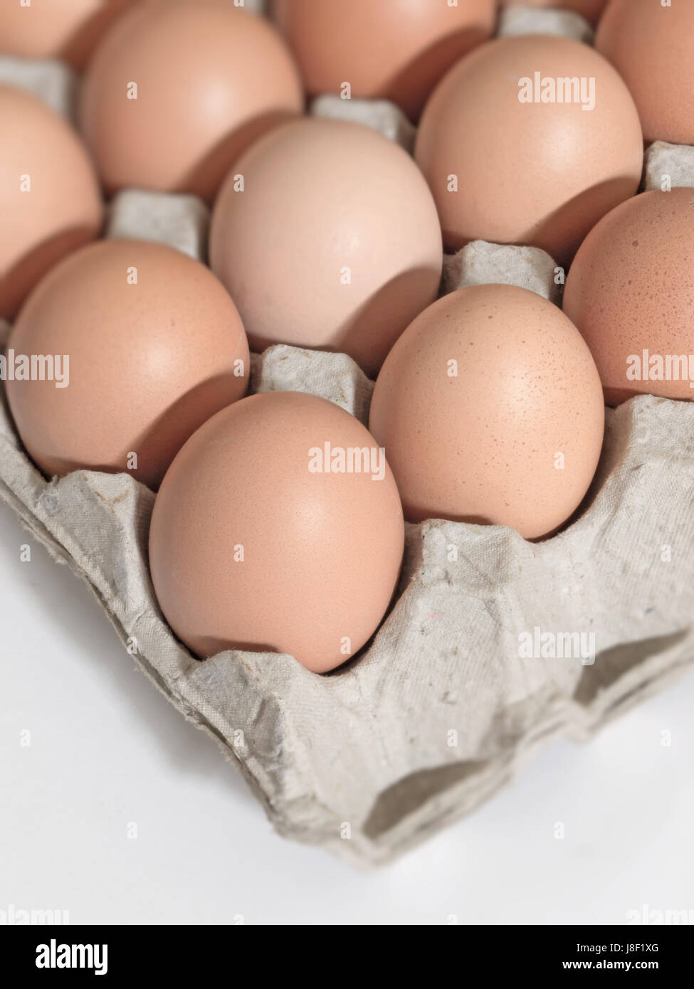 raw, egg, cholesterol, chicken, eggs, uncooked, ingredient, protein