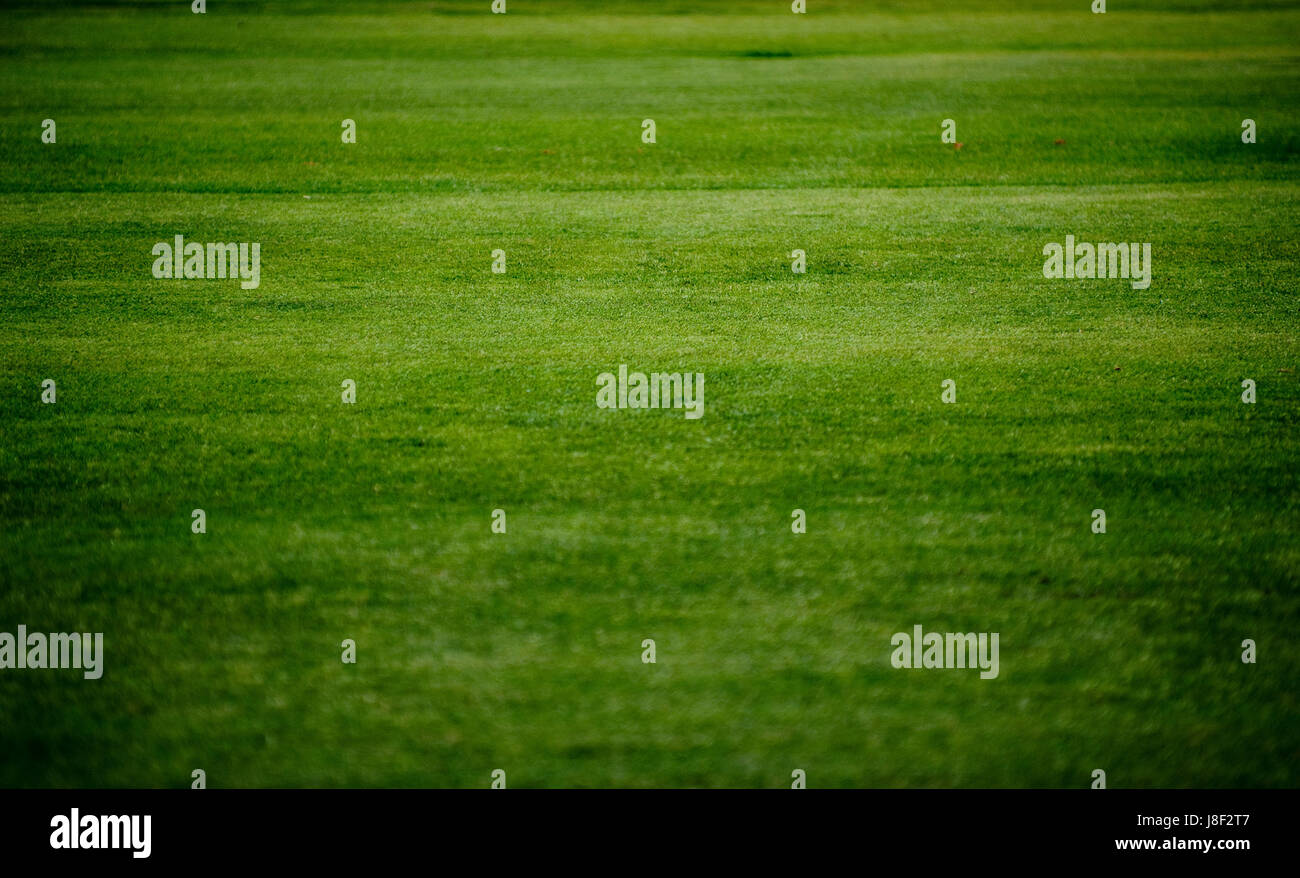 garden field summer summerly freshness spring pattern golf garden field summer summerly freshness spring pattern golf