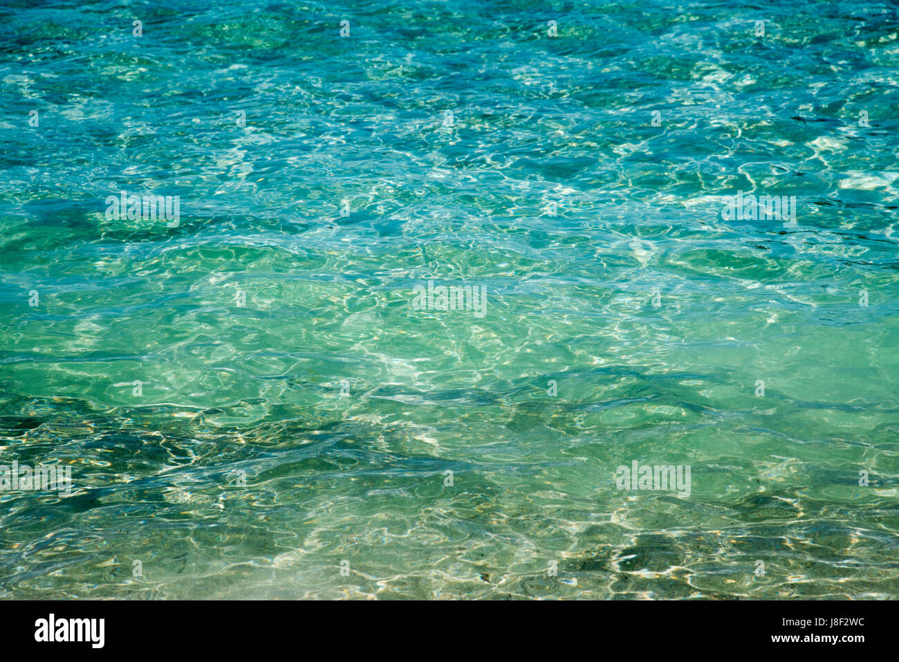 Full frame close up of the pure turquoise-green Indian Ocean waters at Coogee Beach in Coogee, Western Australia. Stock Photo