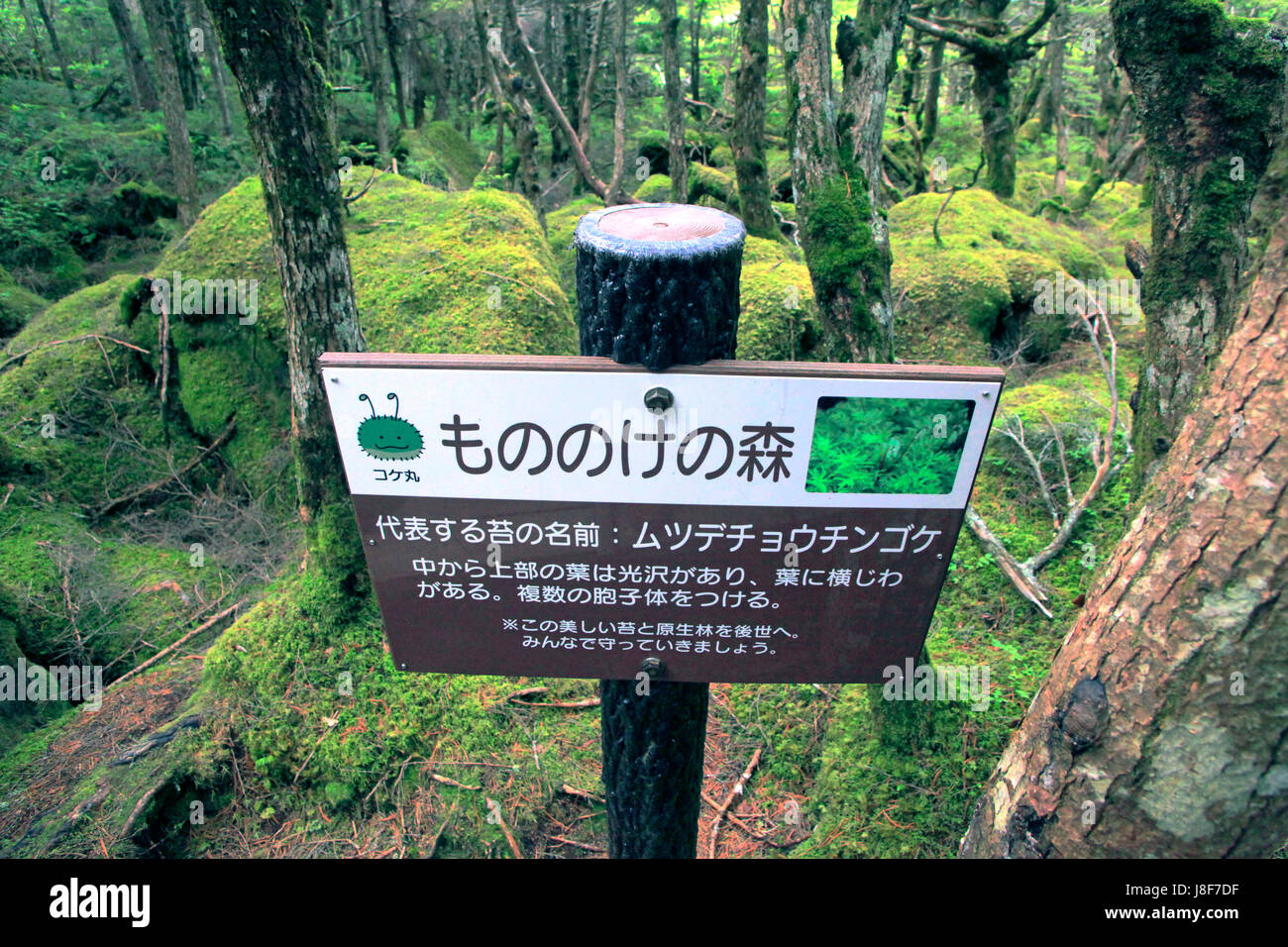 Mononoke-no-Mori Forest Signboard Yachiho Kogen Nagano Japan Stock Photo