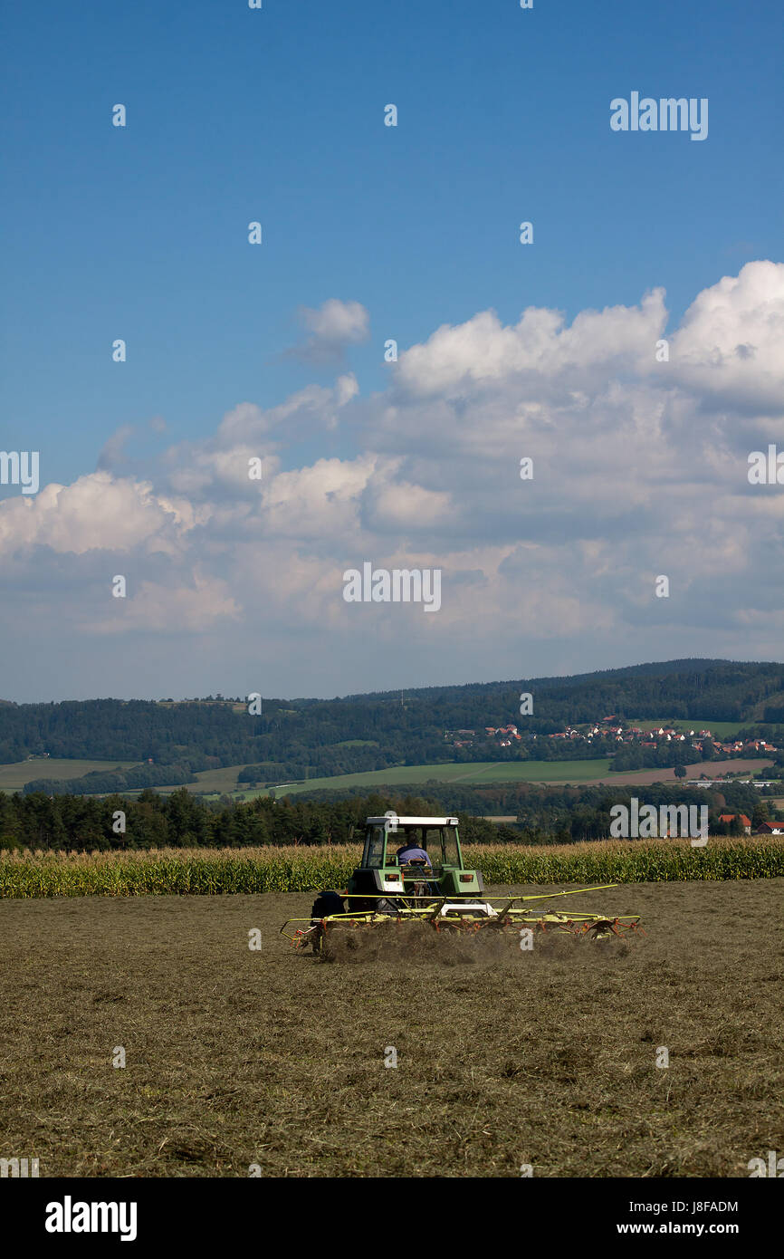 agrarian, farmer, agrarian economy, meadow, firmament, sky, scenery, Stock Photo