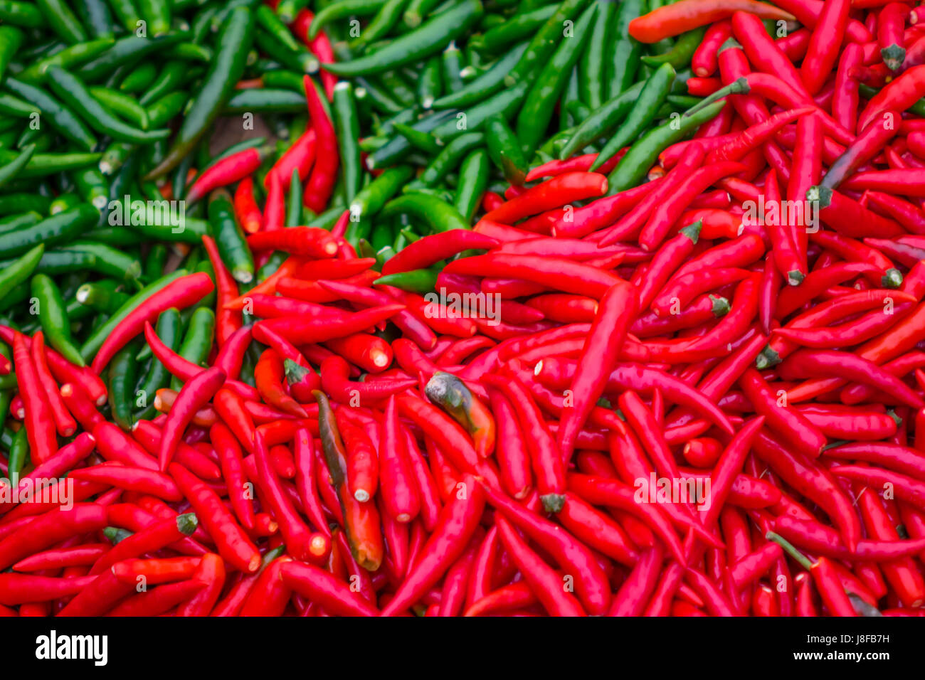 Red and green chili cooking Stock Photo - Alamy
