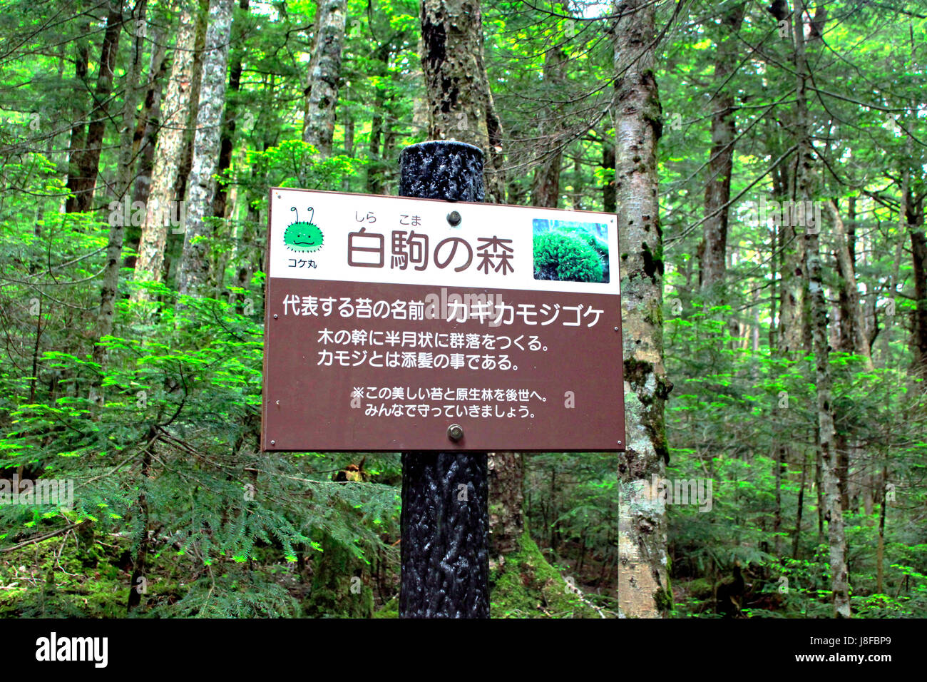 Shirakoma-no-Mori Forest Signboard Yachiho Kogen Nagano Japan Stock Photo