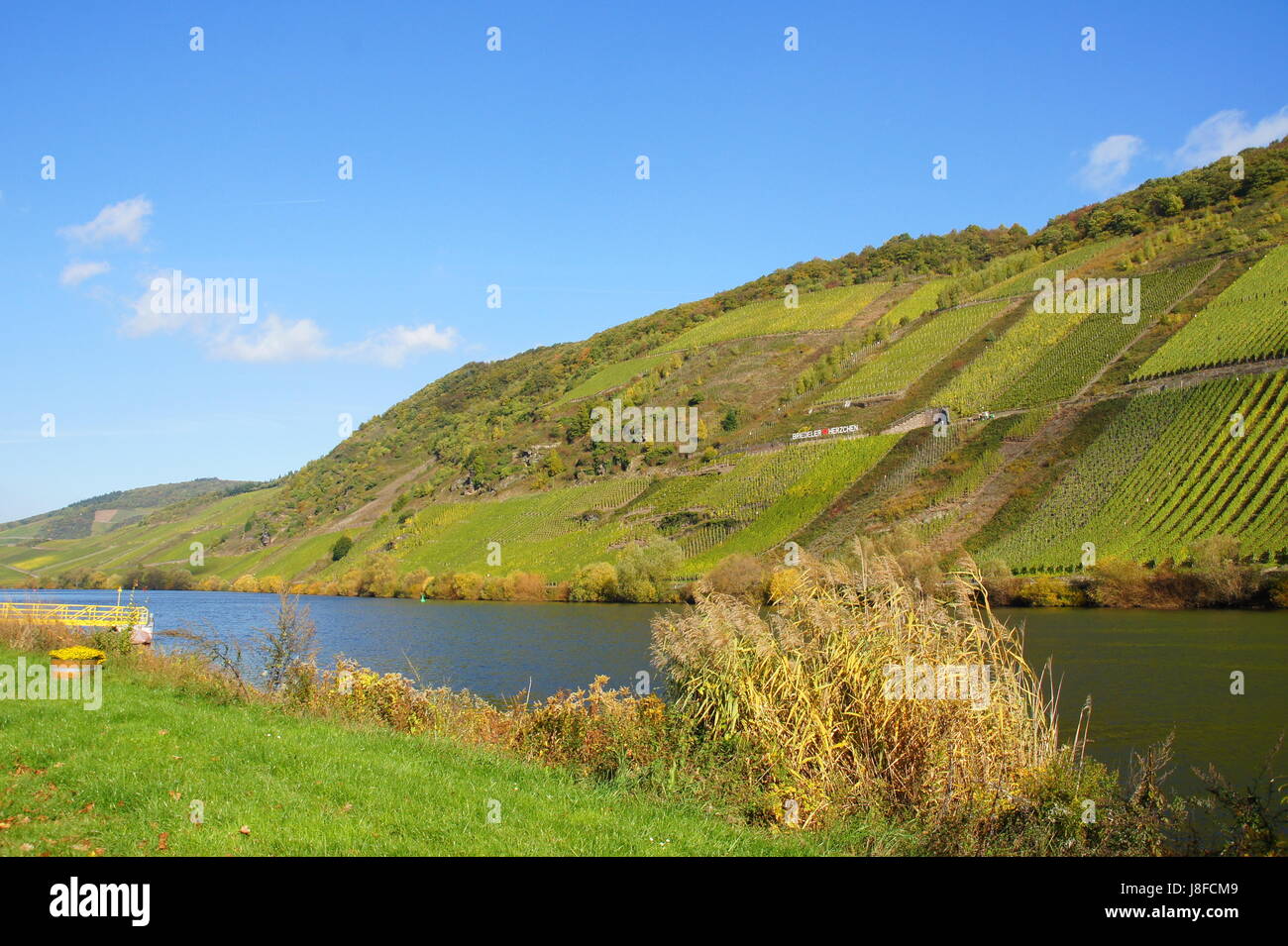 mosel, viticulture, rhineland-palatinate, waters, vineyards, cultivation of Stock Photo
