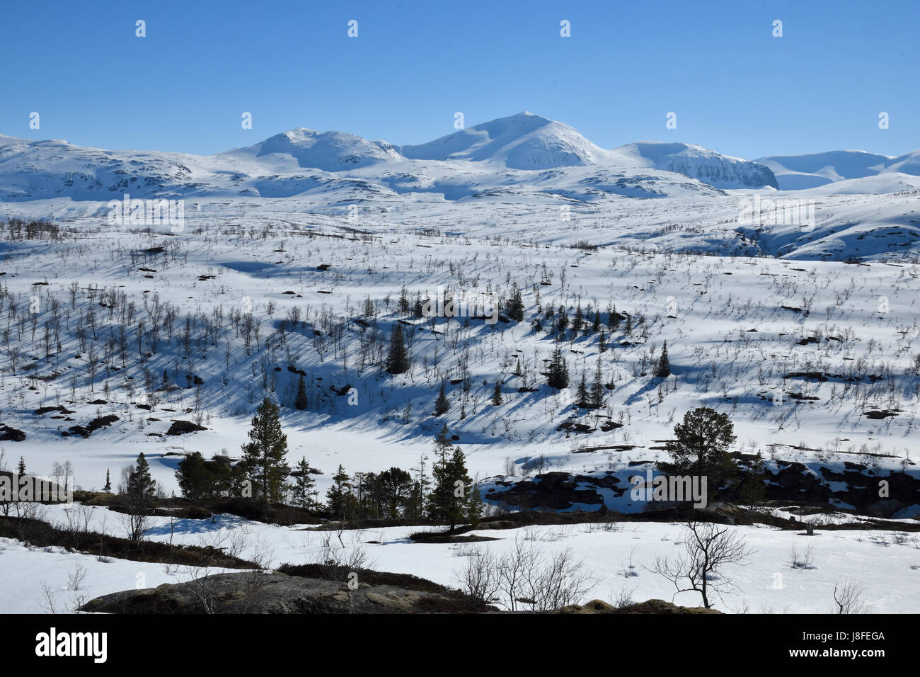 View over some of the Swedish mountains near the border to Norway in the North of Sweden with a clear blue sky in background. Stock Photo