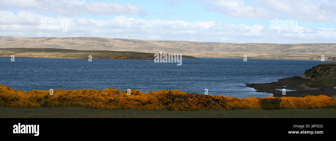 Falkland Islands Stock Photo