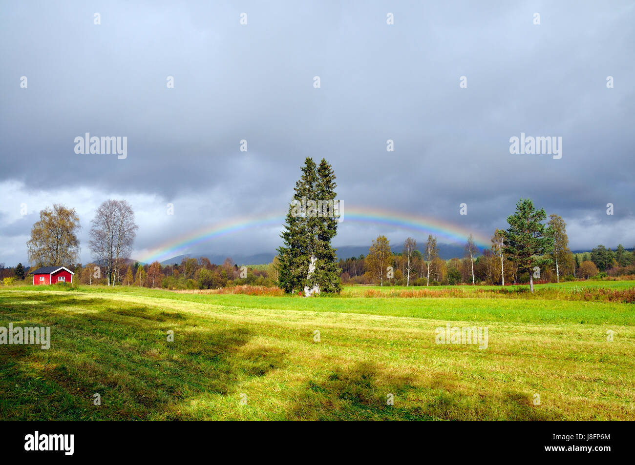 norway, rainbow, scenery, countryside, nature, fall, autumn, tree, trees, Stock Photo
