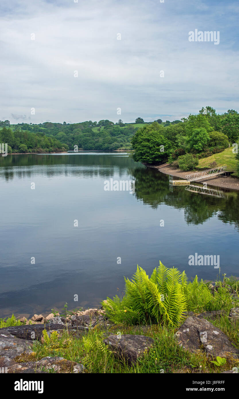 Lower lliw valley reservoir hi-res stock photography and images - Alamy