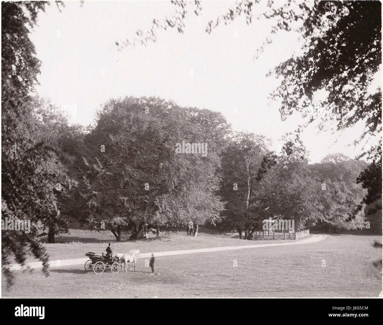Dyrehaven park, Copenhagen, Denmark, Carl Curman Stock Photo