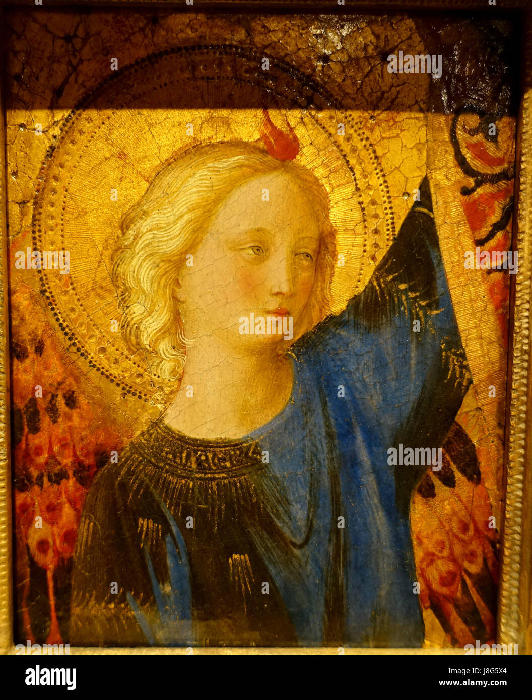 Head of an Angel, from an altarpiece now in the Rijksmuseum, by Guido di Pietro called Fra Angelico, c. 1445 1450, tempera and oil on panel   Wadsworth Atheneum   Hartford, CT   DSC05120 Stock Photo