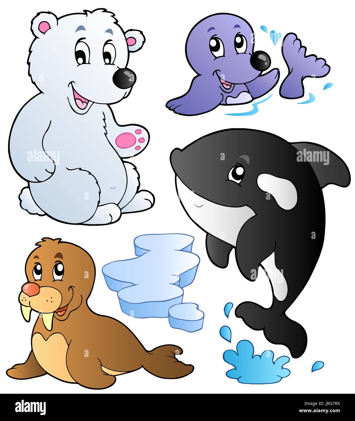 winter, animal, animals, season, seasonal, nature, natural, laugh, laughs Stock Photo - Alamy winter, animal, animals, season, seasonal, nature, natural, laugh, laughs Stock Photo - Alamy