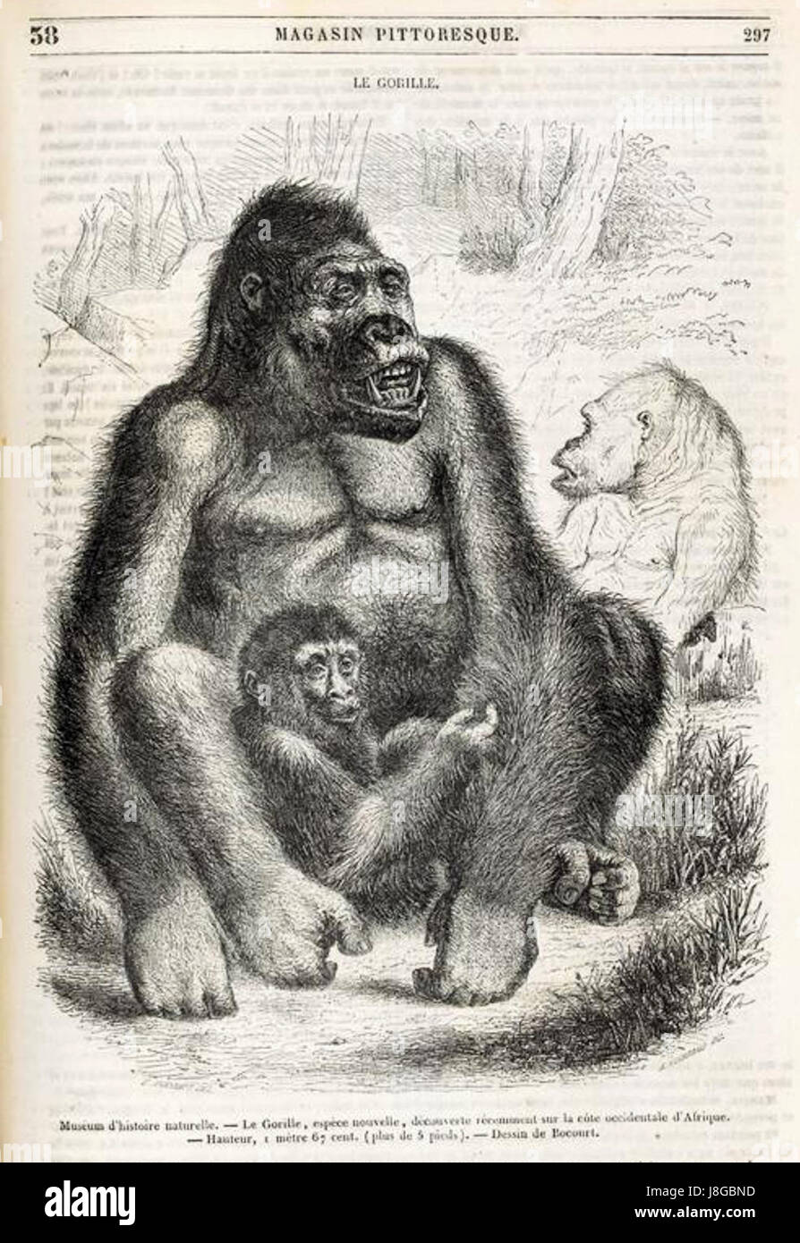 Bocourt hires stock photography and images Alamy