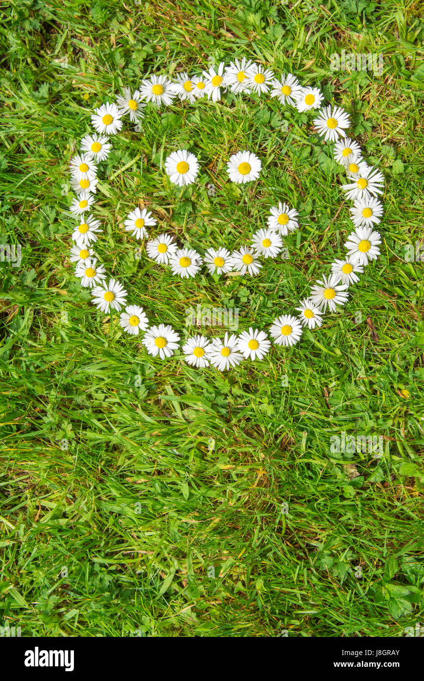 Smiley face made from daisies Stock Photo
