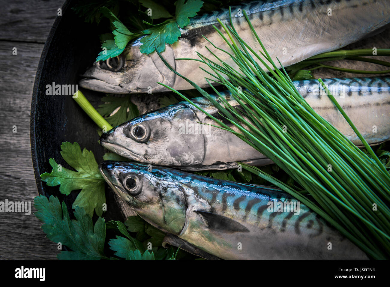 An overhead closeup view of three mackerel in a skillet; Herbs; Flat leaved parsley; Chives; Frying pan; Skillet pan; Food; Fish; Seafood; Stock Photo