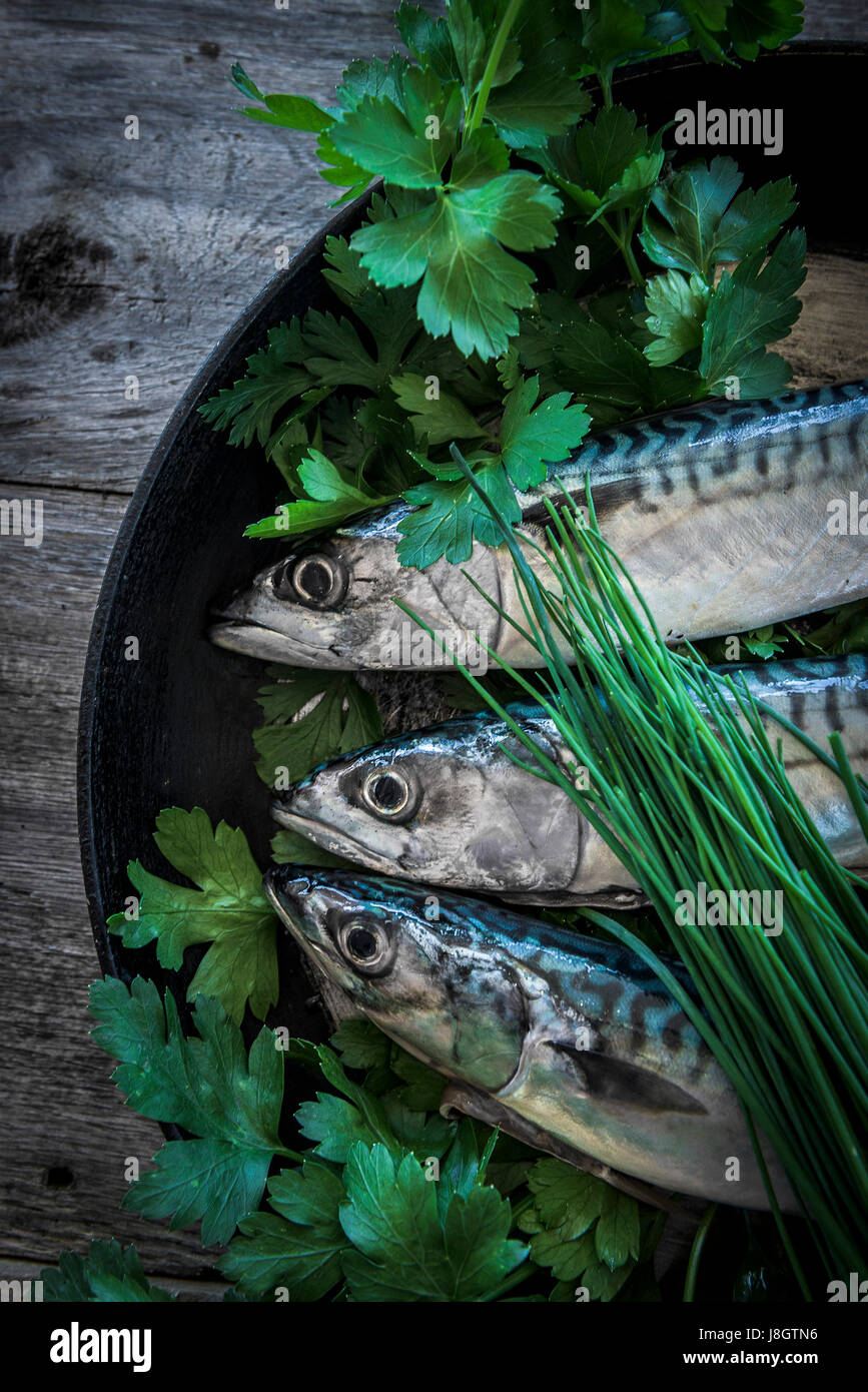 An overhead view of three mackerel in a skillet; Herbs; Flat leaved parsley; Chives; Frying pan; Skillet pan; Food; Fish; Seafood; Pelagic fish; Stock Photo